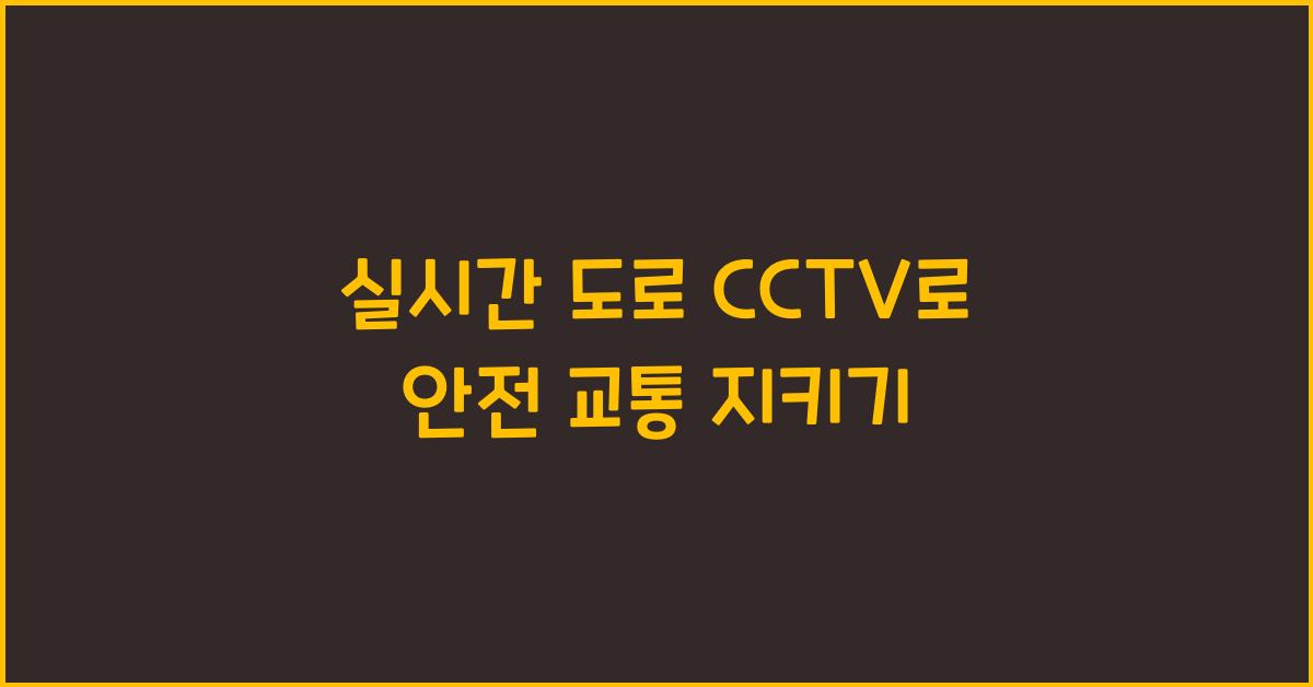 실시간 도로 cctv