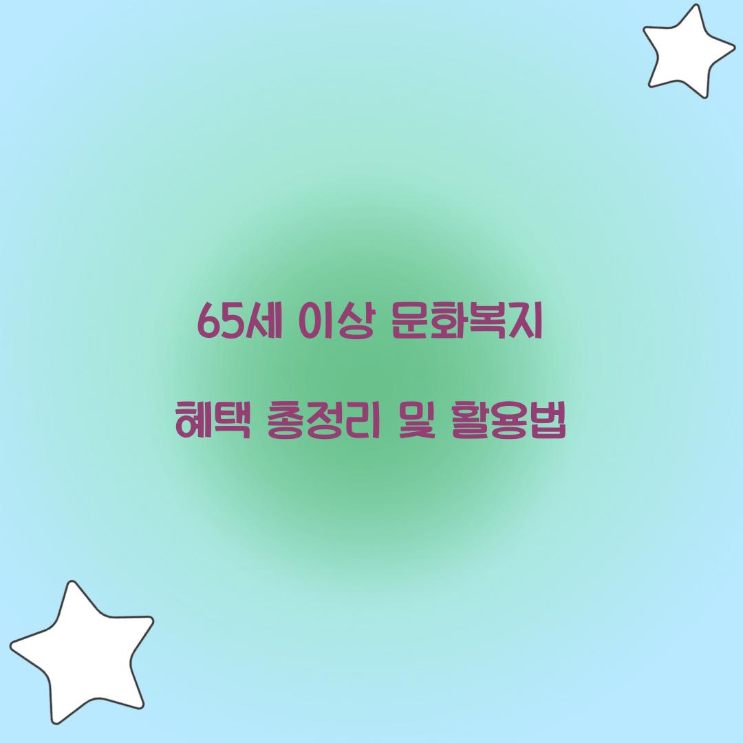 65세 이상 문화복지