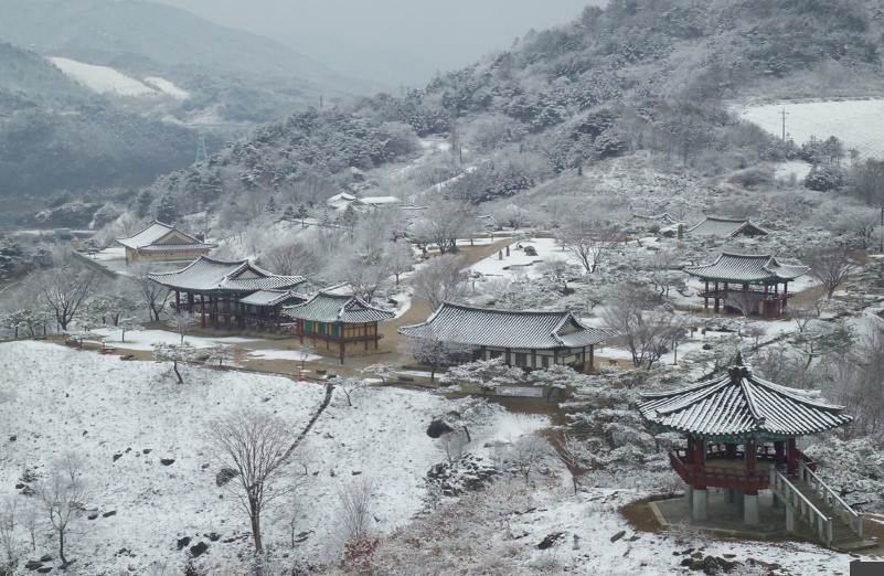 제천시 경제활력지원금 20만원 신청방법