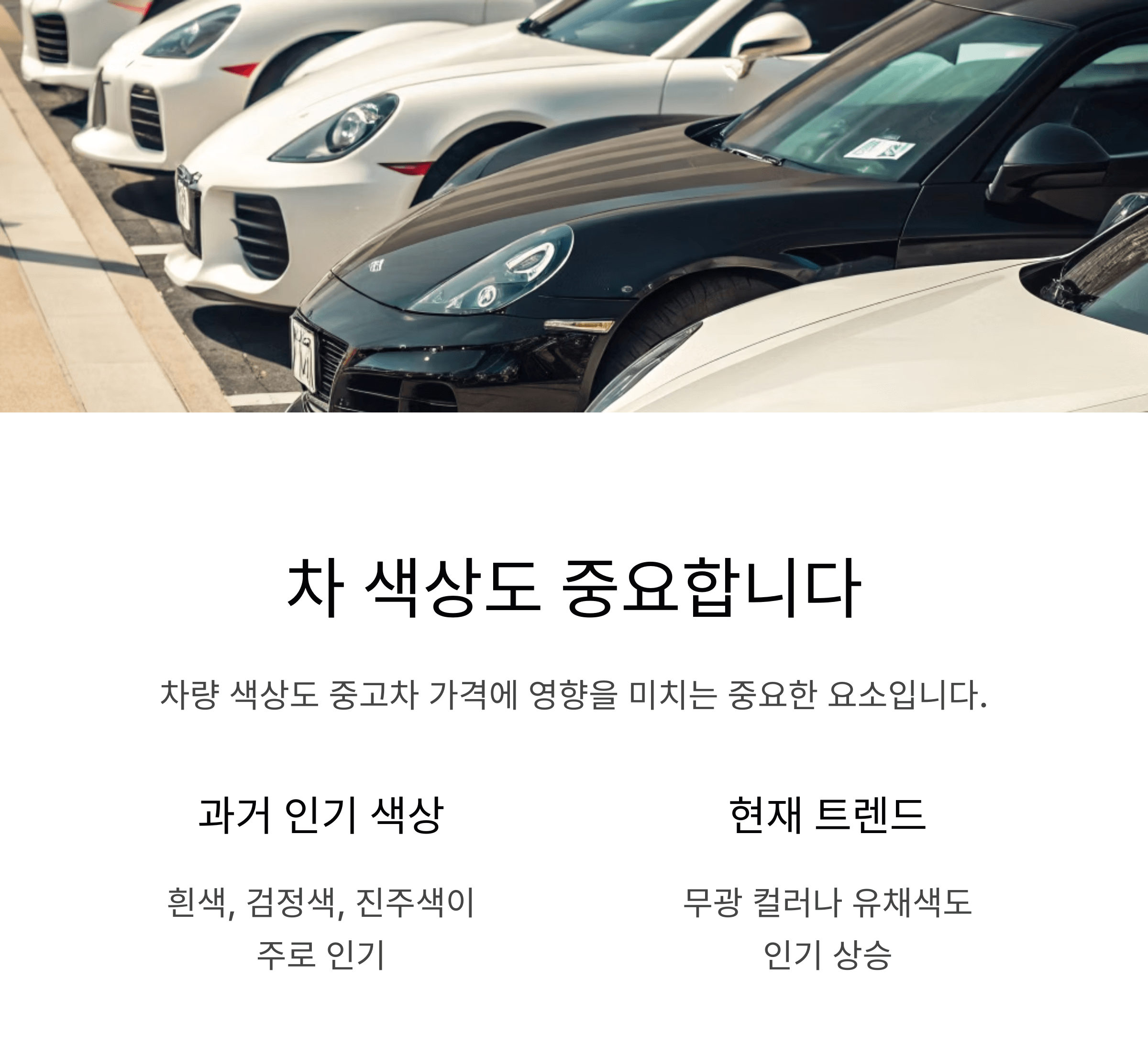 차 색상도 중요합니다.