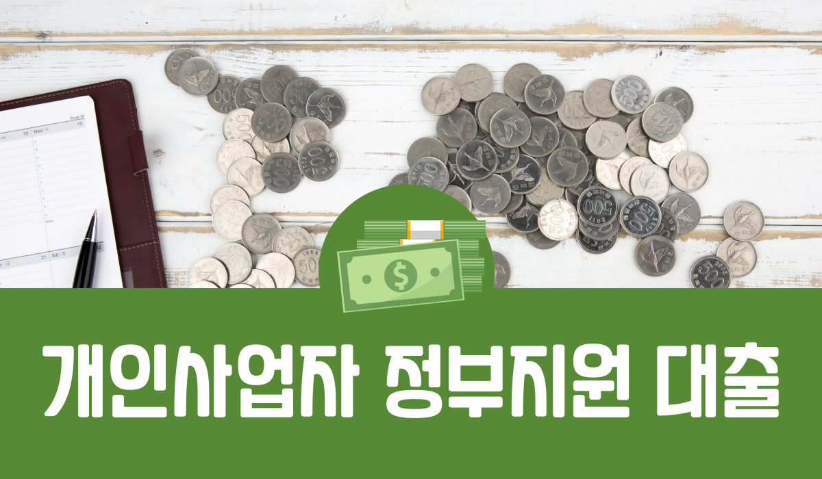 개인사업자 정부지원 대출