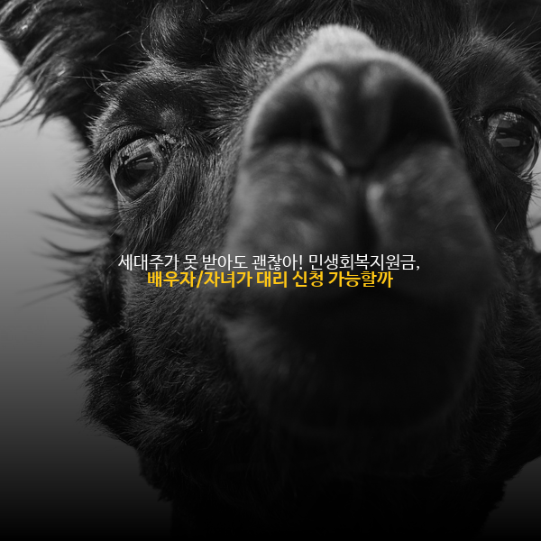 🏡 세대주가 못 받아도 괜찮아! 민생회복지원금, 배우자/자녀가 대리 신청 가능할까? 👨&zwj;👩&zwj;👧&zwj;👦