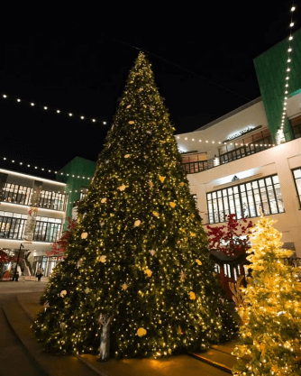 [대전&middot;세종 크리스마스 명소 BEST5] 현대프리미엄아울렛&middot;유성온천&middot;세종 빛트리페스티벌