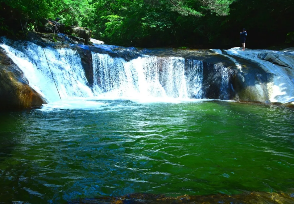 오개탕계곡,오개탕계곡 예약,오개탕 주차장,다슬기 체험,강원도 계곡 추천