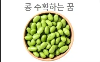콩 수확하는 꿈