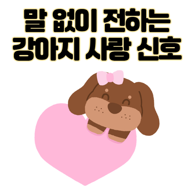 말 없이 전하는 감동적인 강아지 사랑 신호 TOP 4