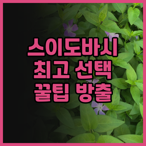 스이도바시 최고의 선택 시퀀스 스이도