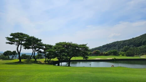 골프장 경험담 여주 신라CC 전통의 품격과 현대의 감성이 만나는 곳 완벽 가이드