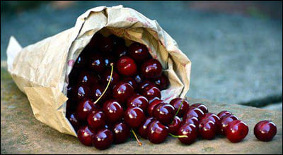 타트체리가 모여 있는 모습