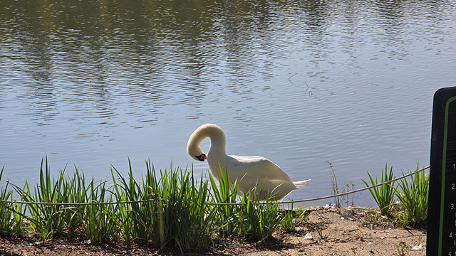 2025 순천만 국가정원 순천여행 맛집 현지인 추천 맛집 순천만 숙박