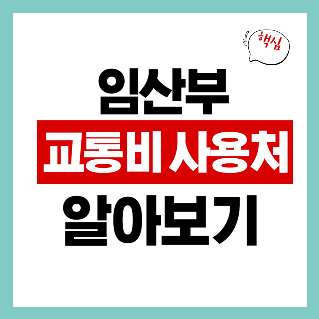 임산부 교통비 사용처 총정리! 주의사항 알아보자