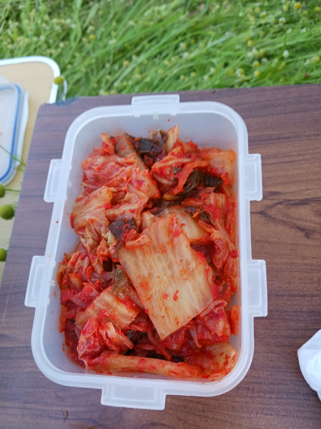 노지낚시