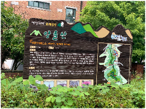양을산