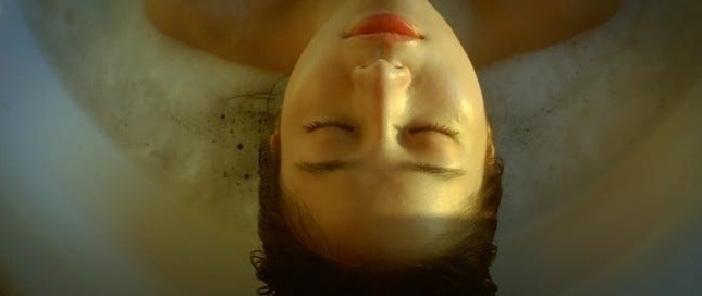 펜트하우스 코끼리 관련 이미지