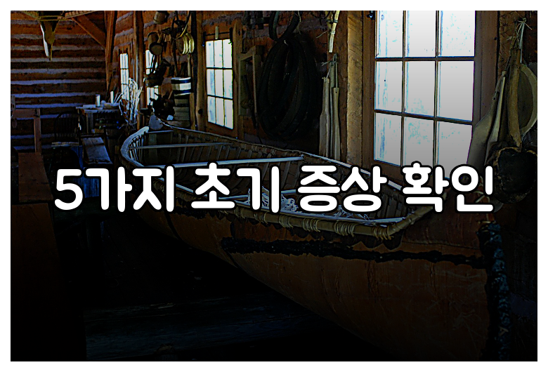 5가지 초기 증상 확인