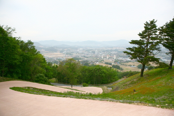 평창 순수 양떼목장