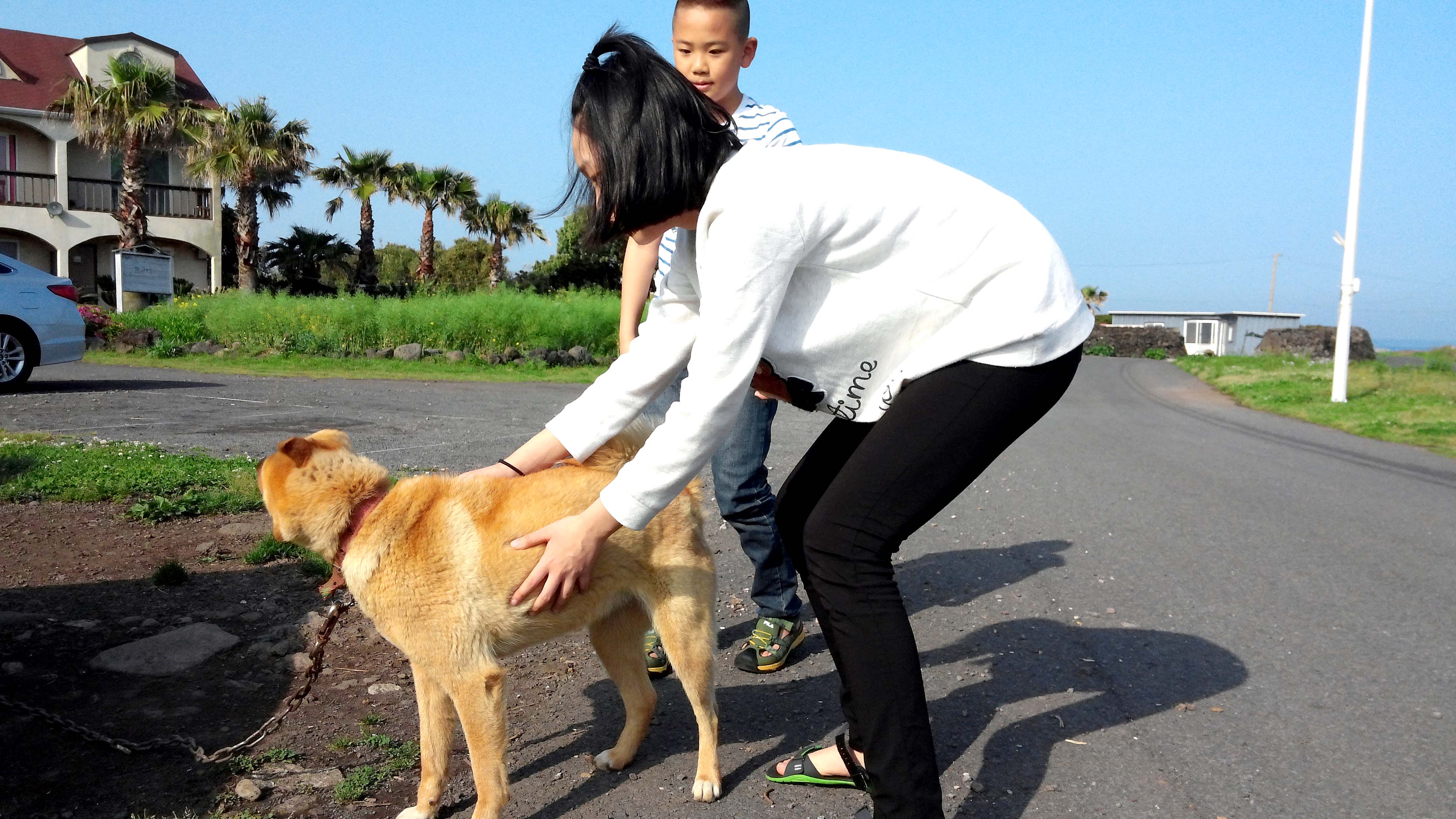 작은프라하 펜션