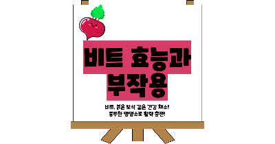 비트 효능 및부작용