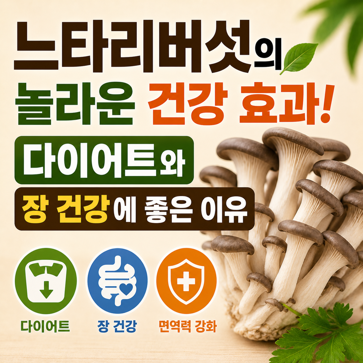 느타리버섯 효능