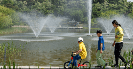 북서울 꿈의 숲 야외 장소 분수대와 사슴 방목장