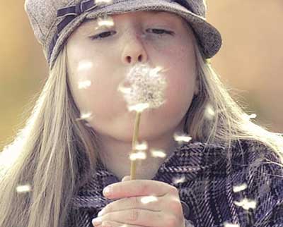 민들레-씨-불기