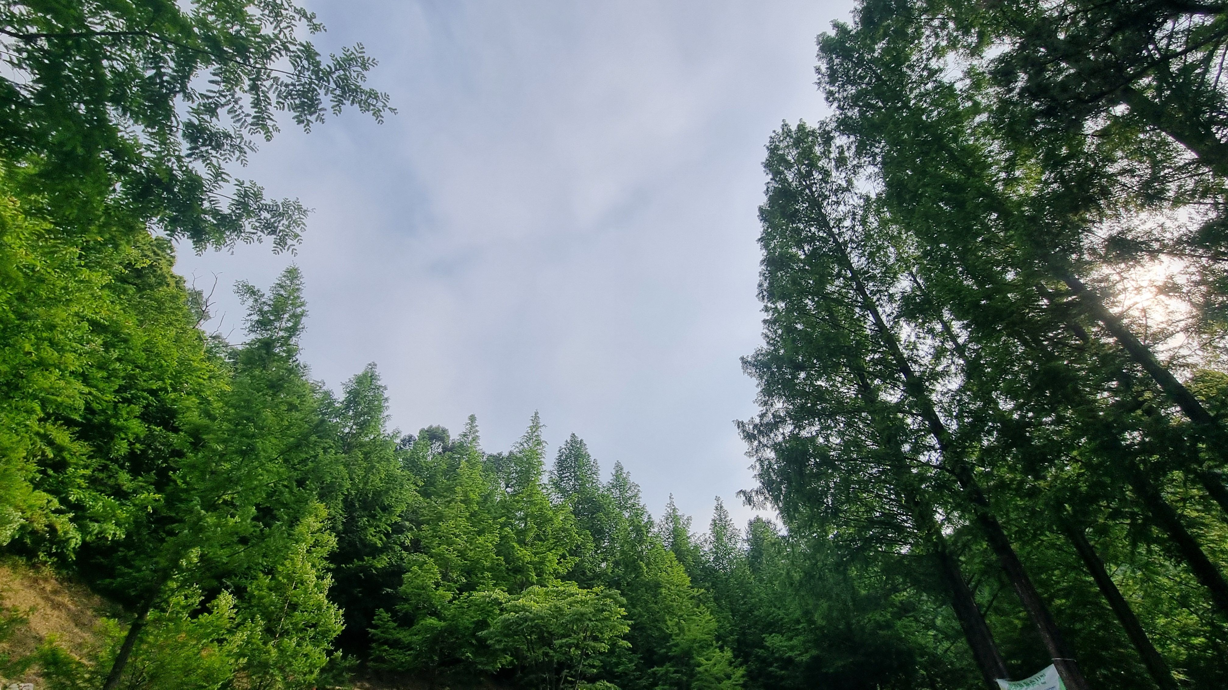 장태산자연휴양림캠핑장