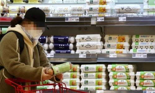 물가상승률 확대: 금리도 오를까? 소비자물가 2.6% 돌파와 한국은행 금리 결정의 상관관계 완벽 분석