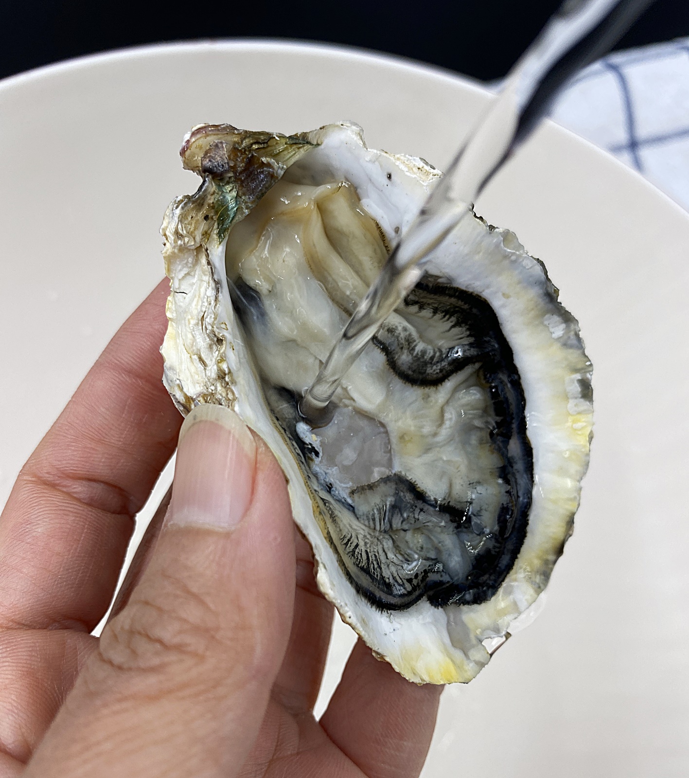 하프셀 굴 위쪽 씻기