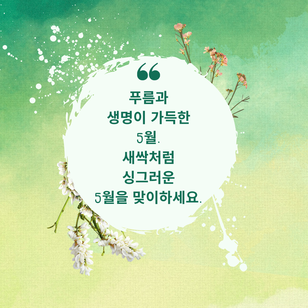 5월 인사말 문구 모음집 이미지