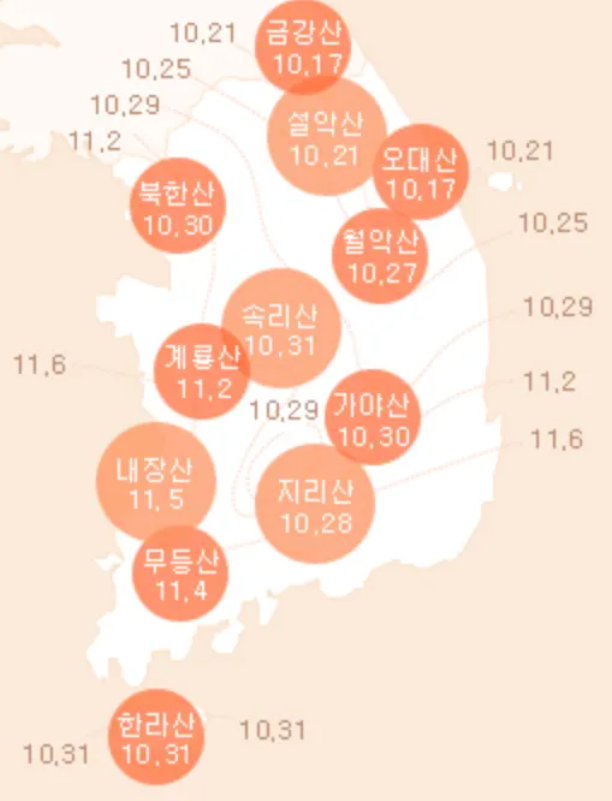 2023 단풍 시기
