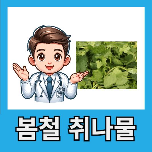 "봄철 산나물 취나물 부지깽이"