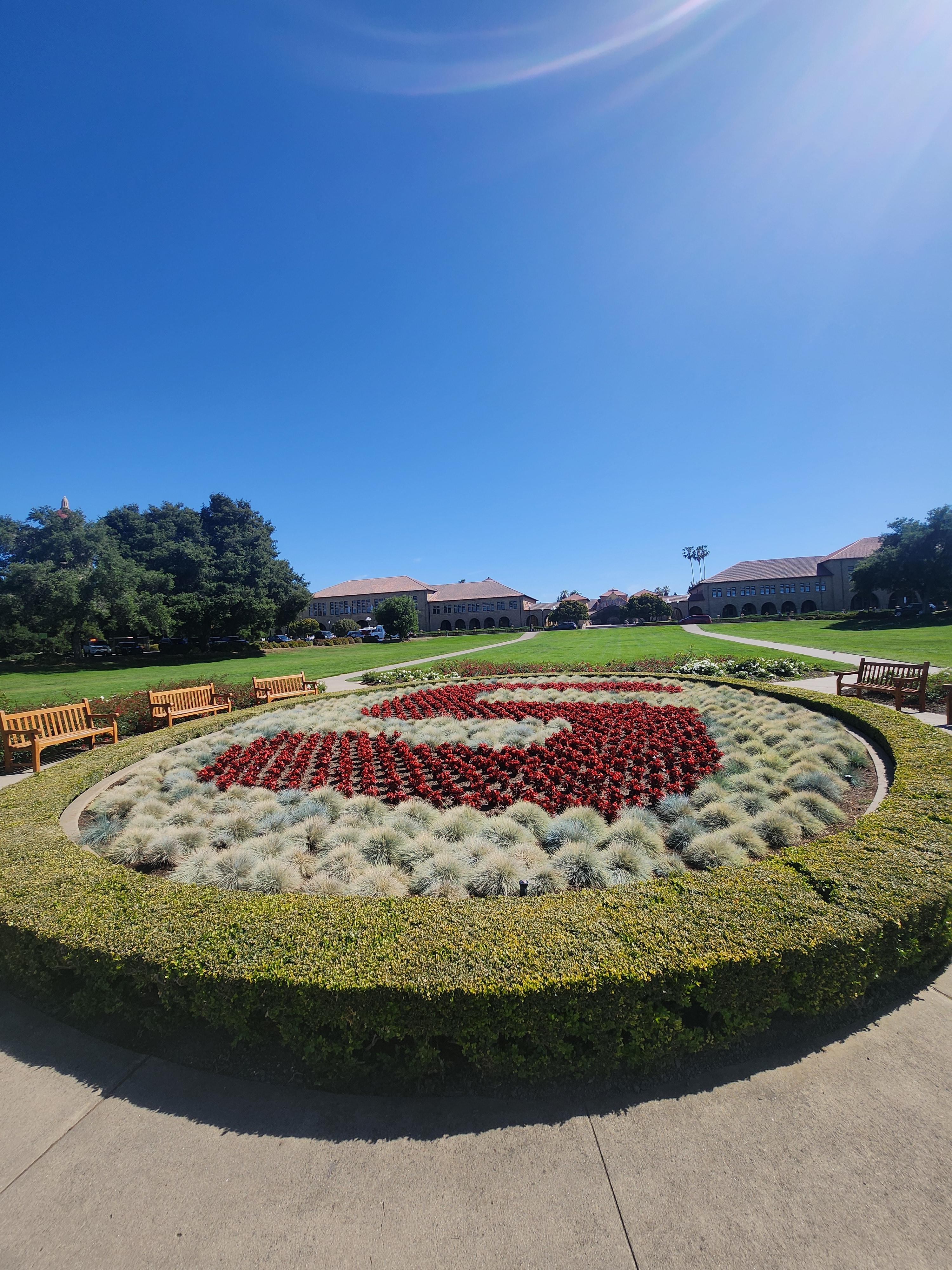 스탠포드의 상징