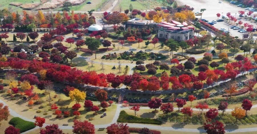 내장산-단풍-전경