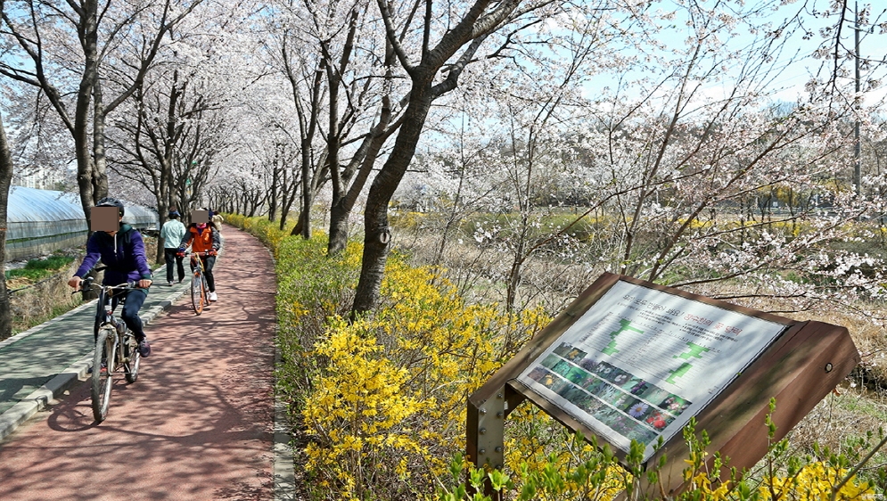 장수천 자전거길