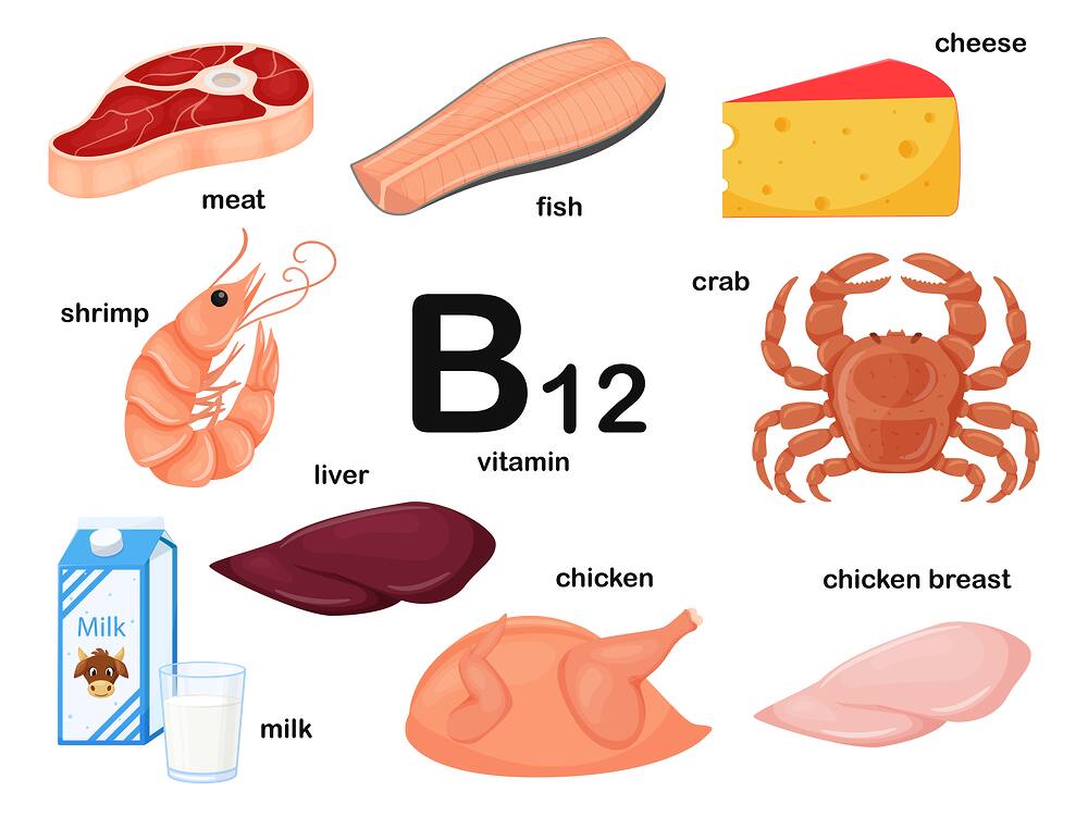 비타민 B12에 대한 이해