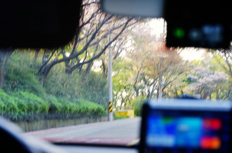 벚꽃명소