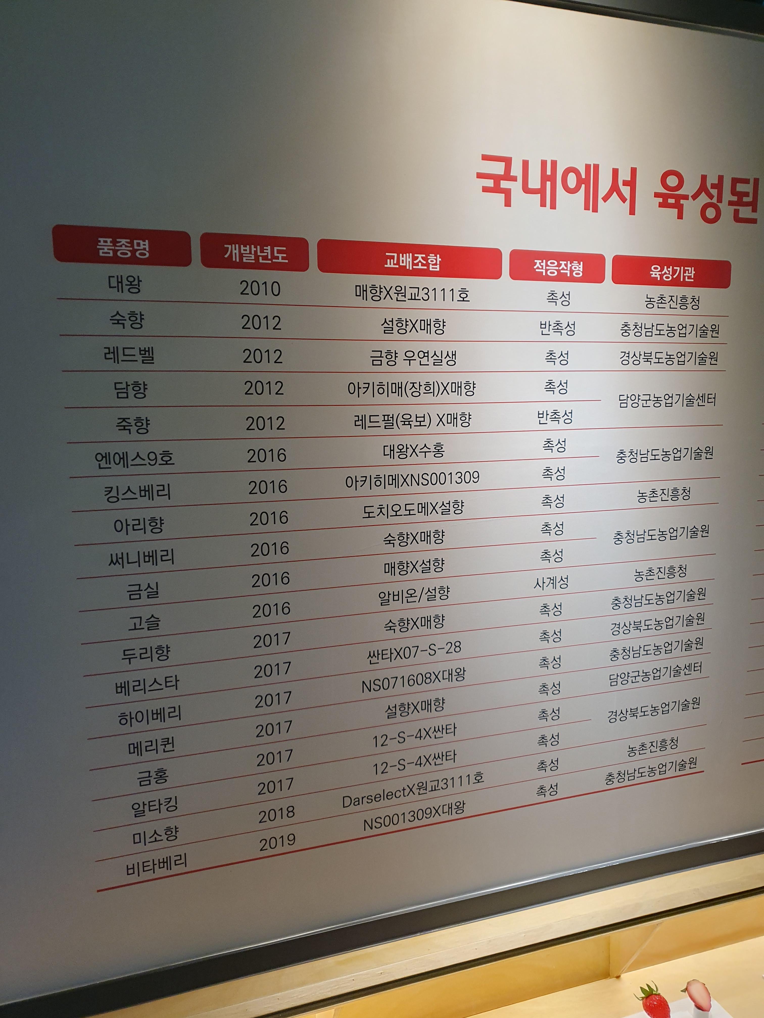 논산 딸기테마관 우리나라 딸기 품종의 종류