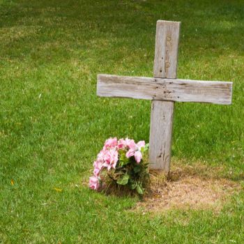 사망보험금 연금수령 