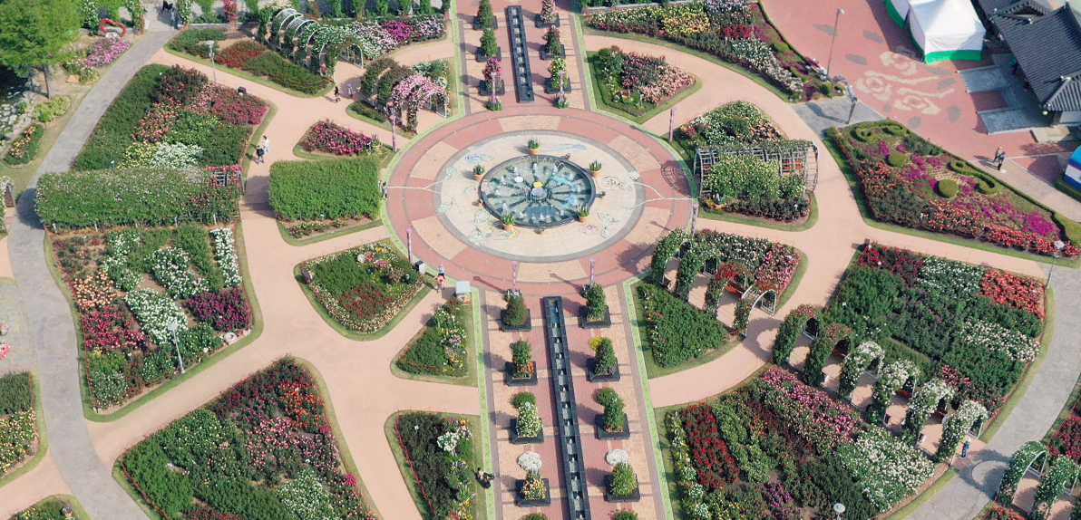 곡성장미축제 관련 사진 이미지