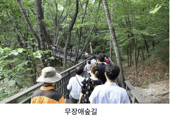 수락 휴 트리하우스