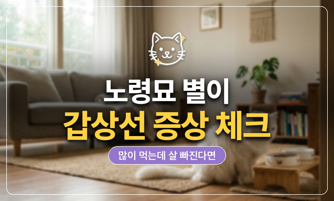 노령묘 갑상선 증상