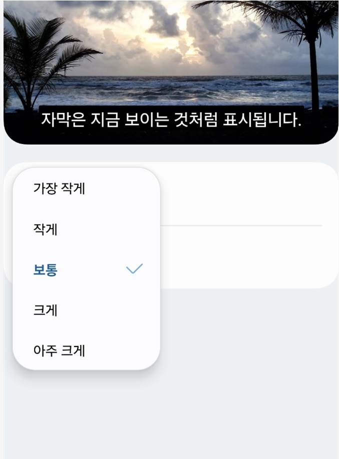 방법 7: 자막 크기 조절하기