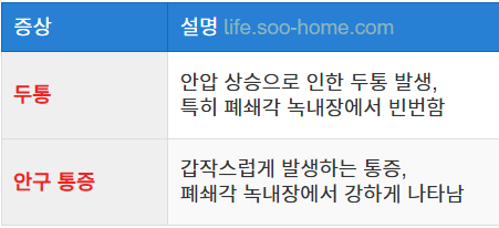 두통 및 안구 통증