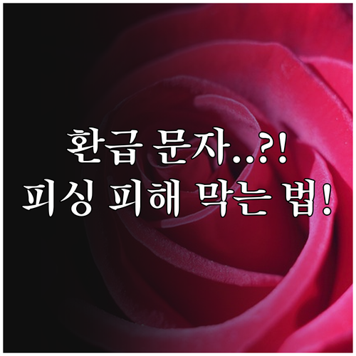 국세청 환급 문자 피싱 피해 막는 법..