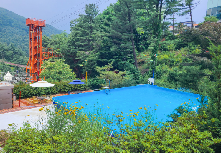 포천 어메이징파크