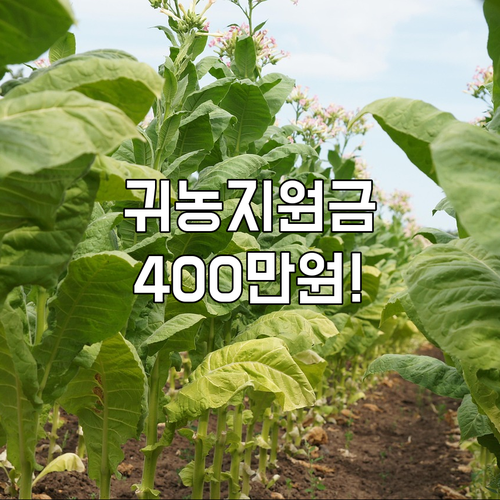 2025 청송군 귀농 지원금 총정리 ..