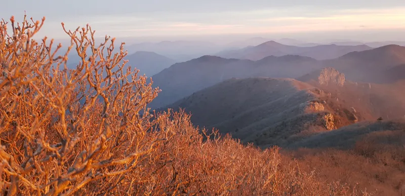 울산 가지산 일출 산행