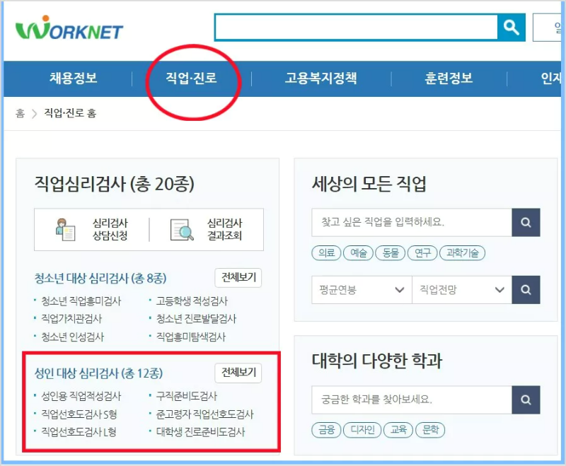 직업진로정보 화면