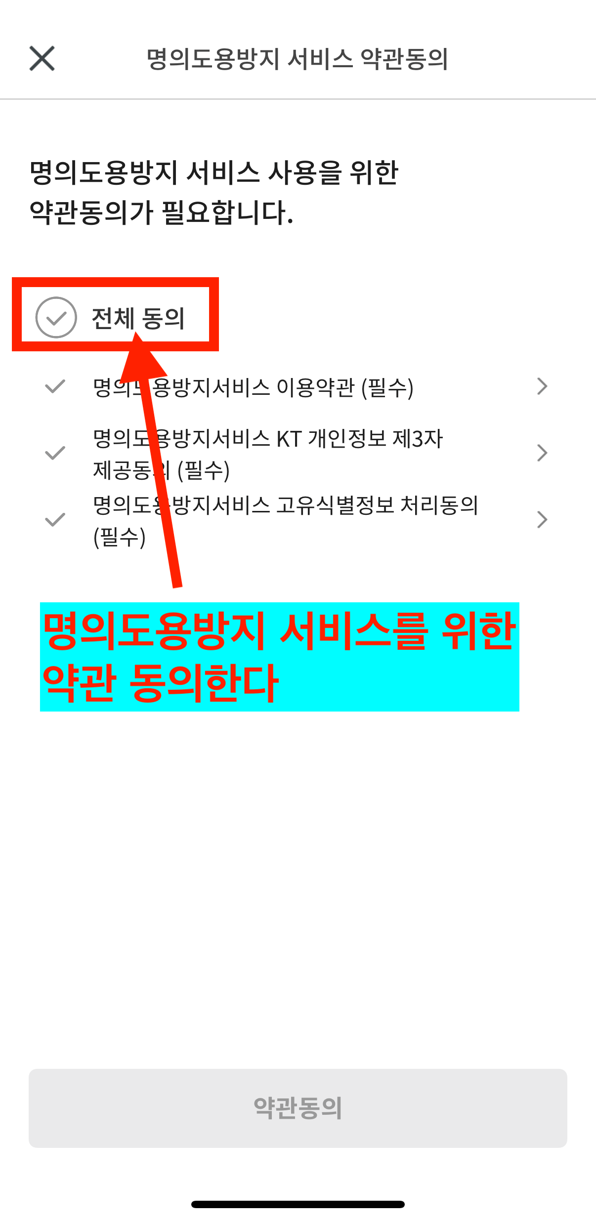 명의도용방지서비스 약관 동의