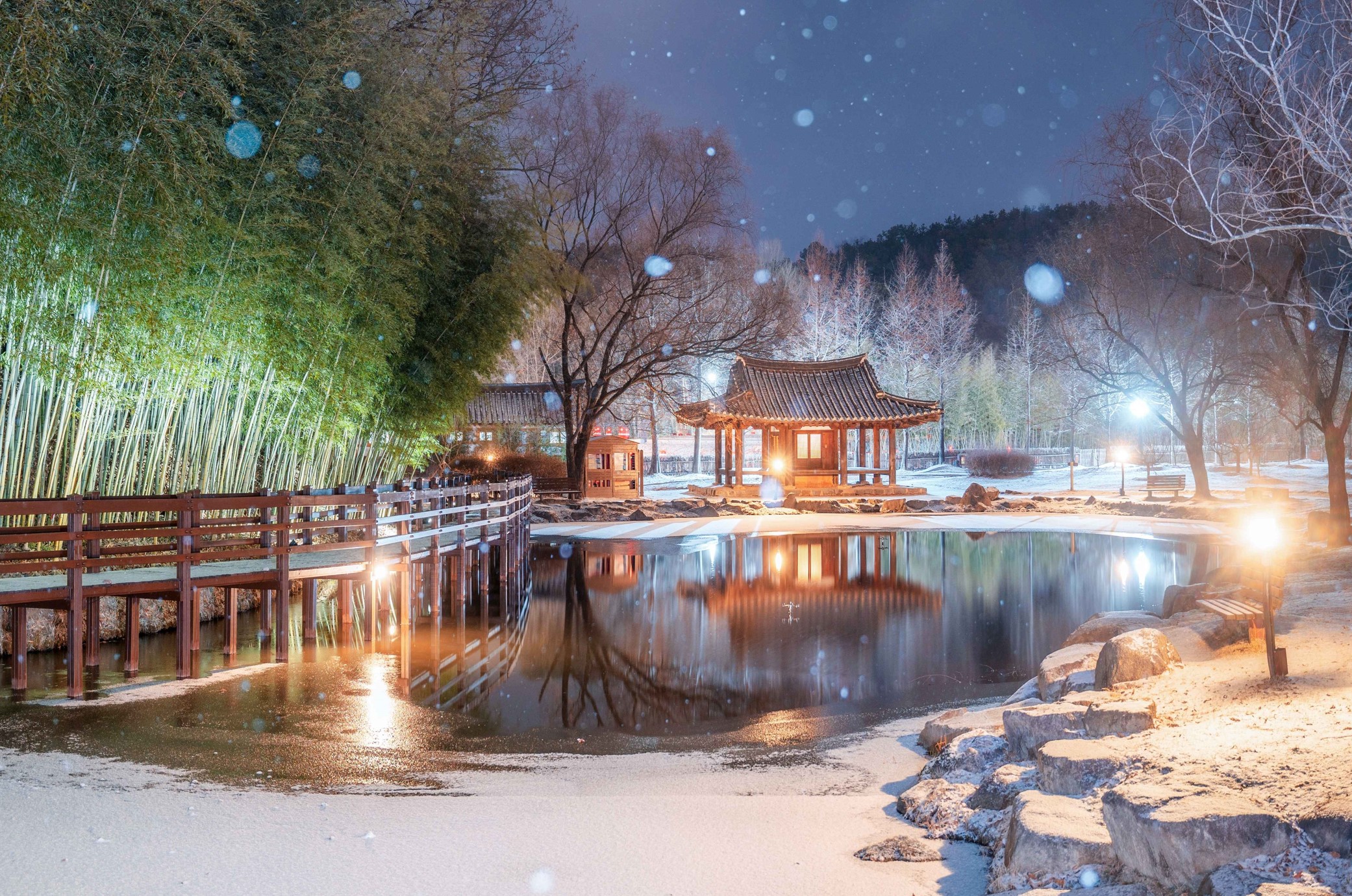 신비로운-담양-죽녹원의-겨울밤-풍경